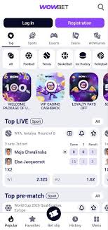 Международное казино Как выбрать лучший игровой портал