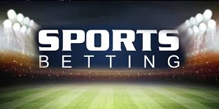 Découvrez Betwinner  Le Leader des Paris Sportifs