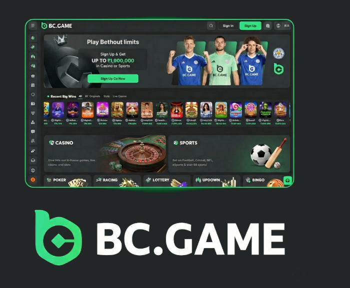 BC.CO Login Your Gateway to Explore a Unique Gaming Universe
